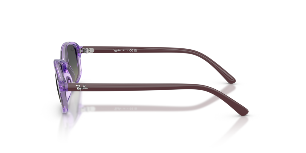 Ray-Ban Junior RJ9132S 719911