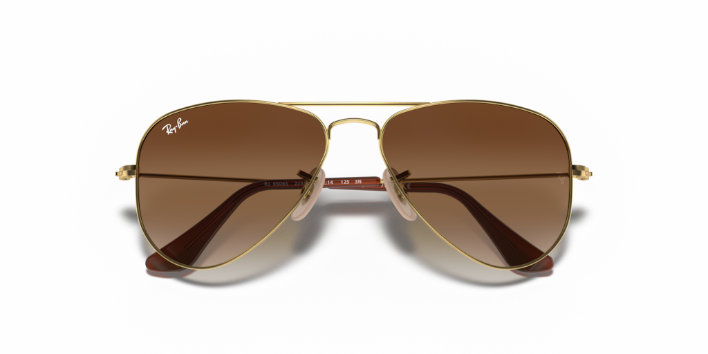 Ray-Ban Junior RJ9506S 223/13