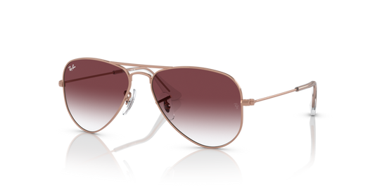 Ray-Ban Junior RJ9506S