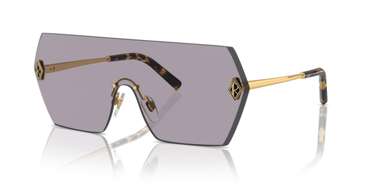 Ralph Lauren RL7085 9004AK - 43 - Güneş Gözlükleri