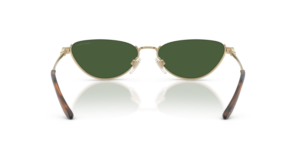 Ralph Lauren RL7095 911671
