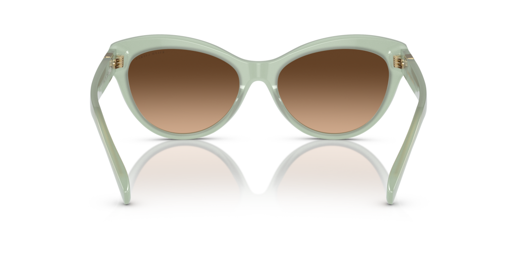 Ralph Lauren RL8213 608274