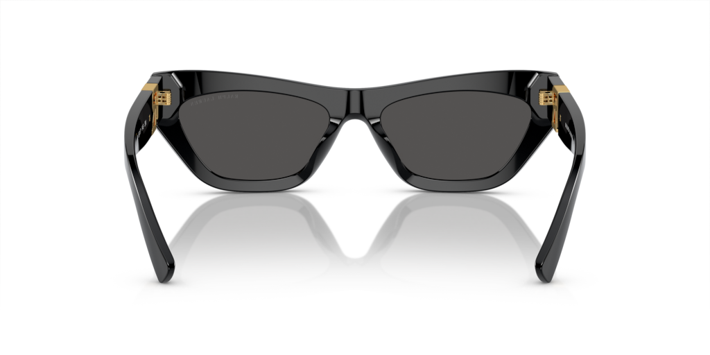 Ralph Lauren RL8218U 500187