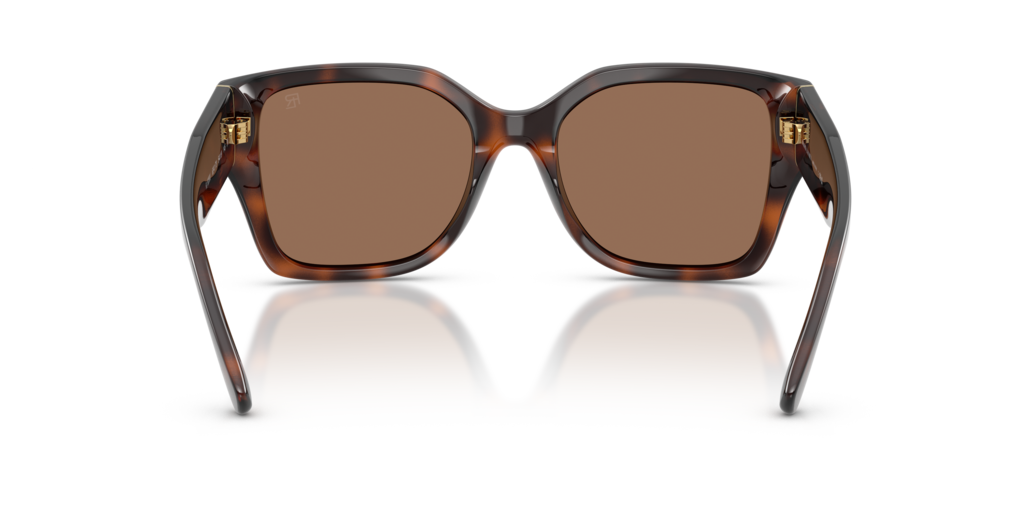 Ralph Lauren RL8230U 624173