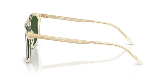 Ralph Lauren RL8233U 503471