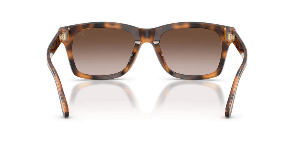 Ralph Lauren RL8237U 608913