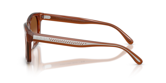 Ralph Lauren RL8237U 630613
