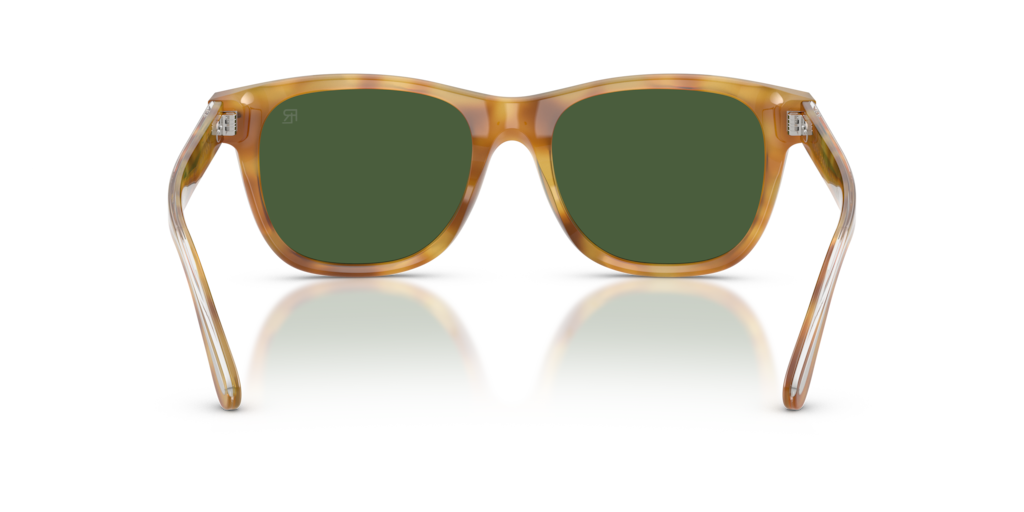 Ralph Lauren RL8239U 618571
