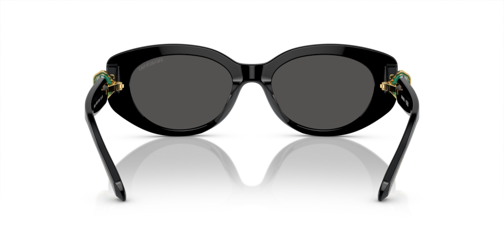 Swarovski SK6002 100187