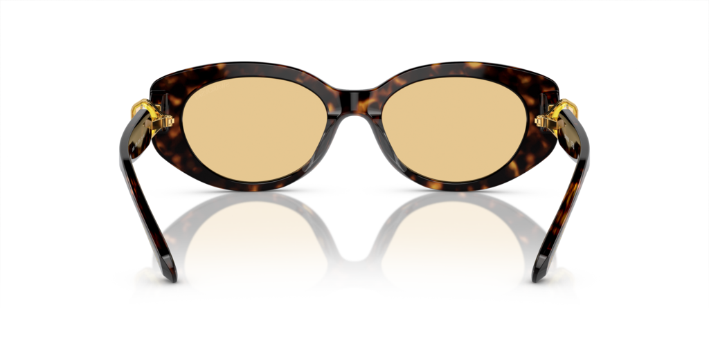 Swarovski SK6002 1002/8