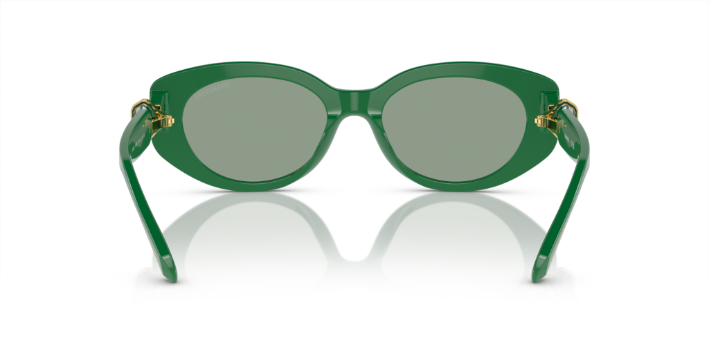 Swarovski SK6002 10079C