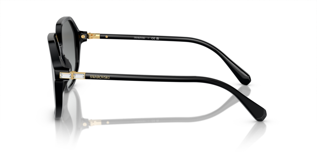 Swarovski SK6003 100111