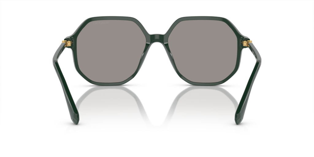 Swarovski SK6003 1026M3