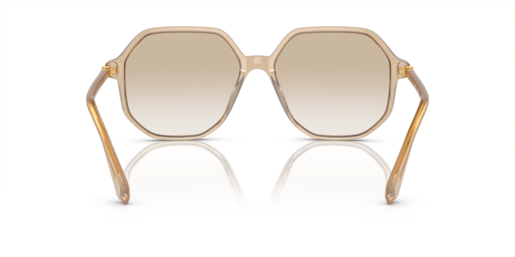 Swarovski SK6003 103411
