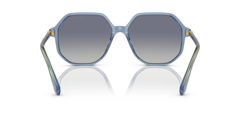 Swarovski SK6003 10354L 57 Güneş Gözlükleri