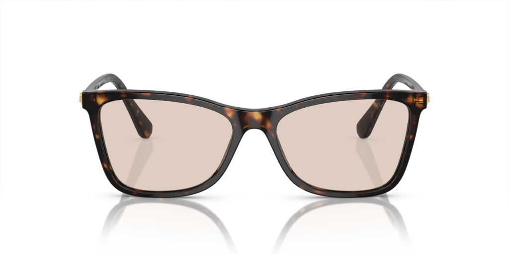 Swarovski SK6004 1002M4