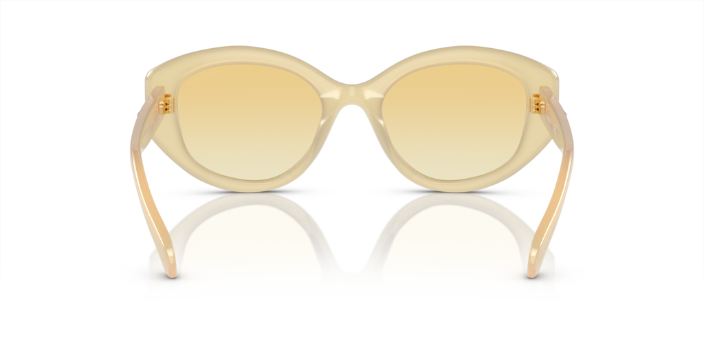 Swarovski SK6005 10232Q 53 Güneş Gözlükleri