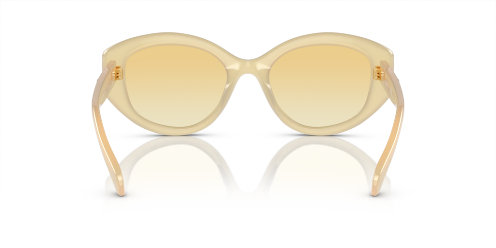 Swarovski SK6005 10232Q 53 Güneş Gözlükleri