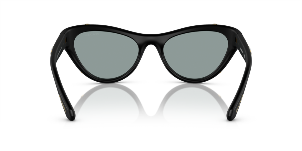 Swarovski SK6007 1020/1
