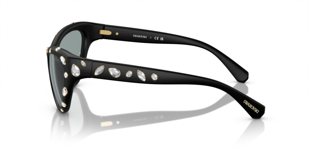 Swarovski SK6007 1020/1