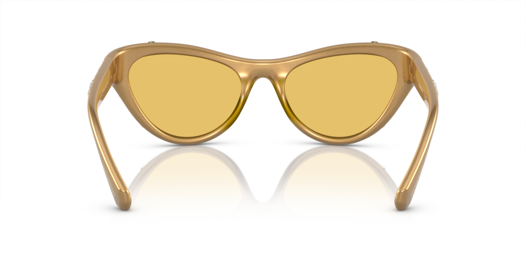 Swarovski SK6007 102285