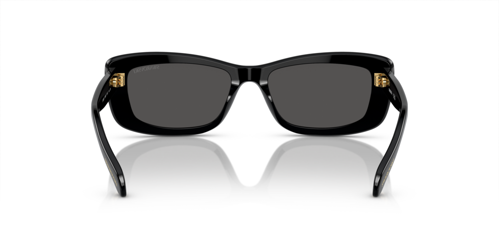 Swarovski SK6008 100187 54 Güneş Gözlükleri