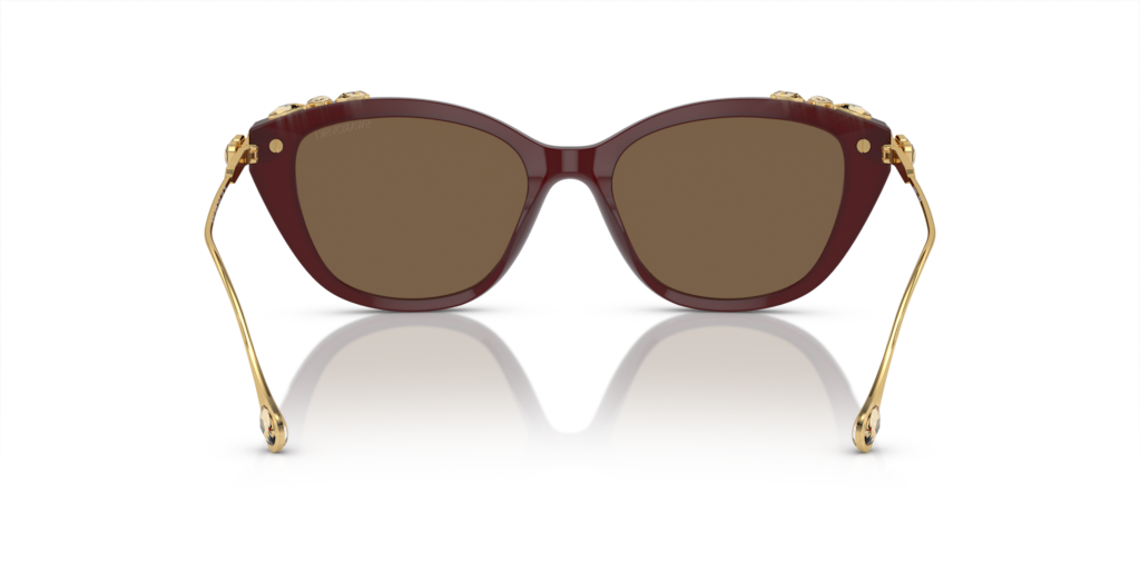 Swarovski SK6010 105673 53 Güneş Gözlükleri