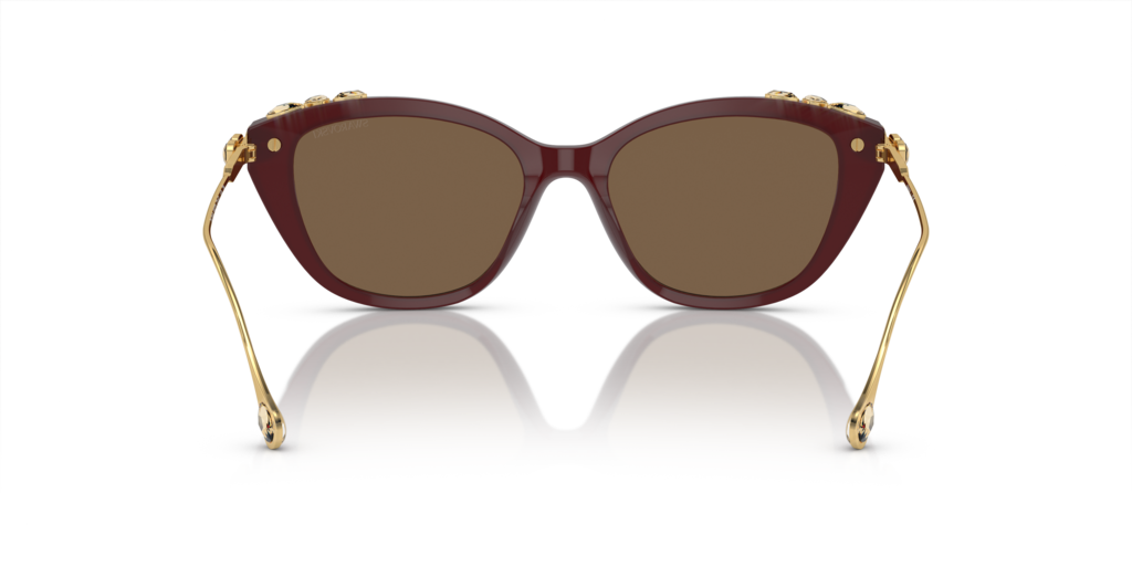 Swarovski SK6010 105673 53 Güneş Gözlükleri