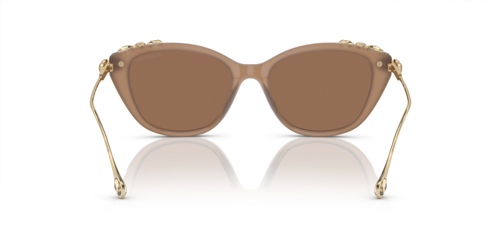 Swarovski SK6010 2002OK 53 Güneş Gözlükleri