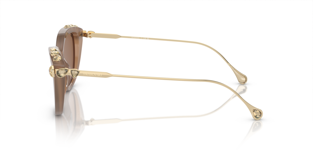 Swarovski SK6010 2002OK 53 Güneş Gözlükleri