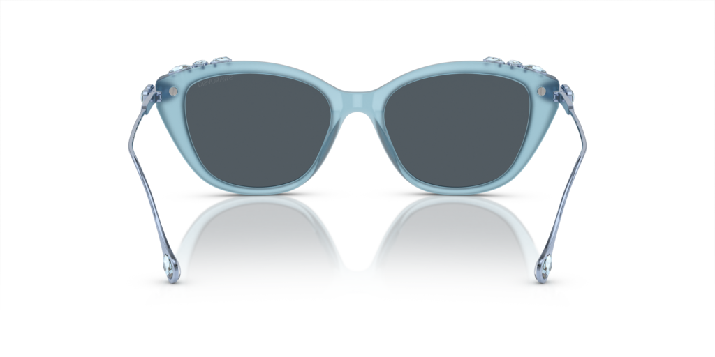 Swarovski SK6010 200487 53 Güneş Gözlükleri