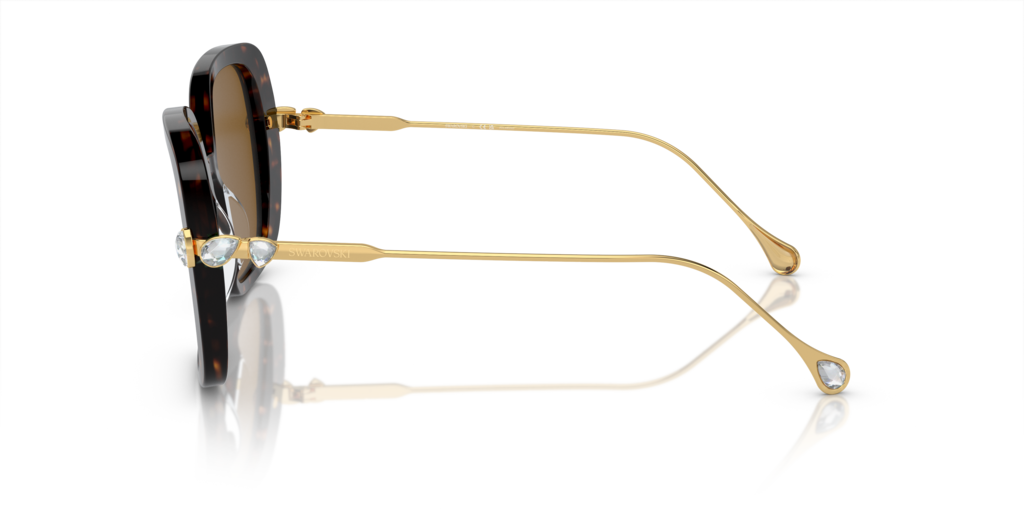 Swarovski SK6011 100283 55 Güneş Gözlükleri