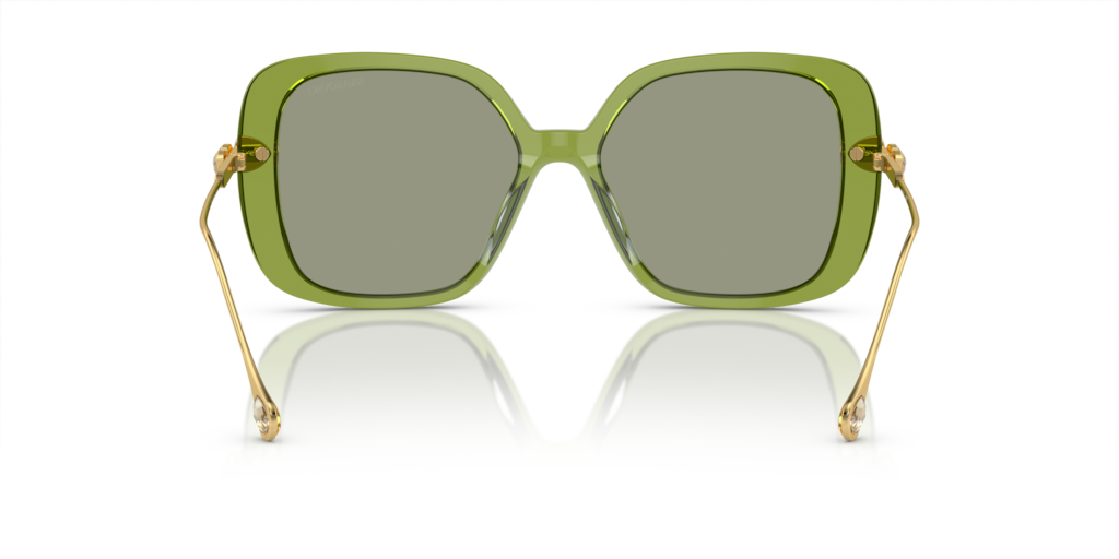 Swarovski SK6011 3002/2 55 Güneş Gözlükleri