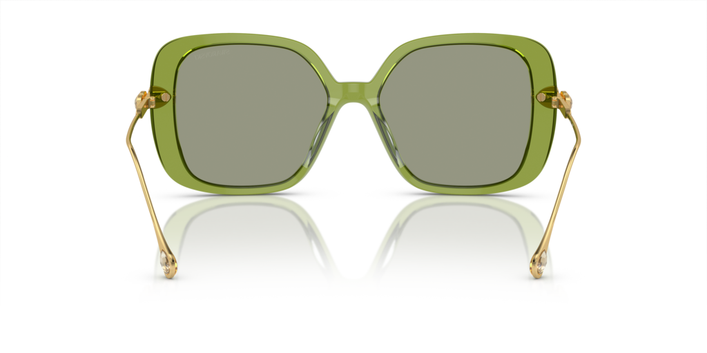 Swarovski SK6011 3002/2 55 Güneş Gözlükleri