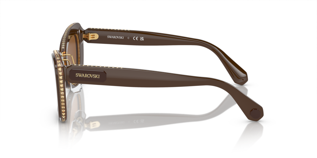 Swarovski SK6012 101173 52 Güneş Gözlükleri