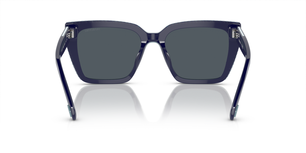 Swarovski SK6013 101887 54 Güneş Gözlükleri