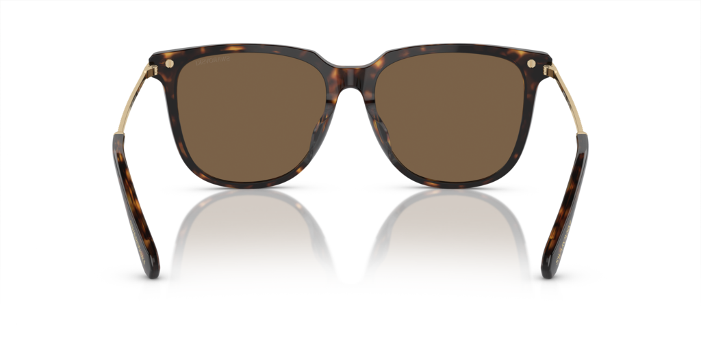 Swarovski SK6015D 100273 55 Güneş Gözlükleri