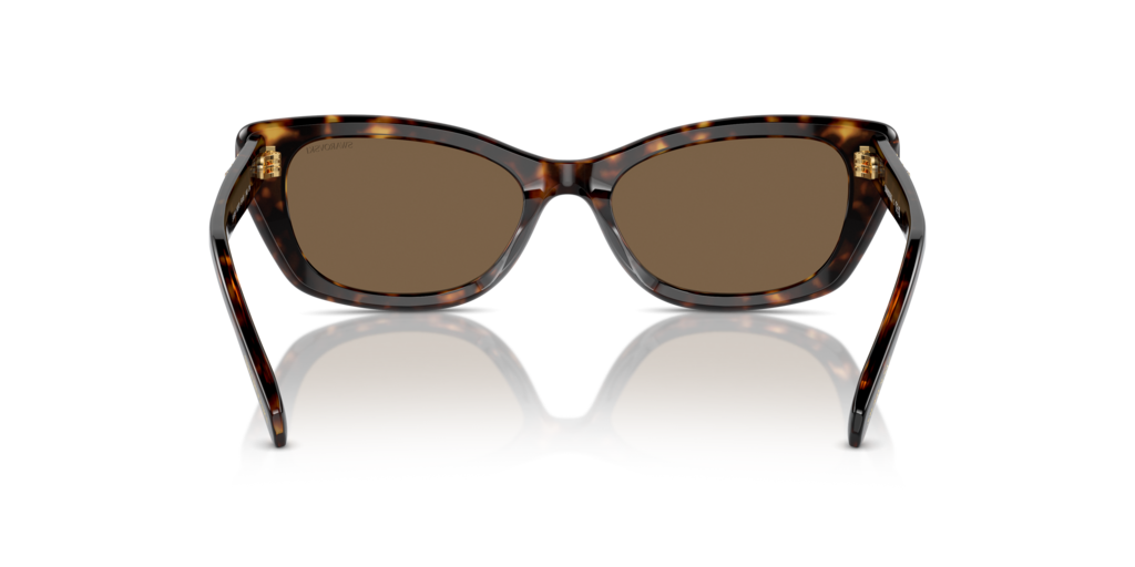 Swarovski SK6019 100273 54 Güneş Gözlükleri