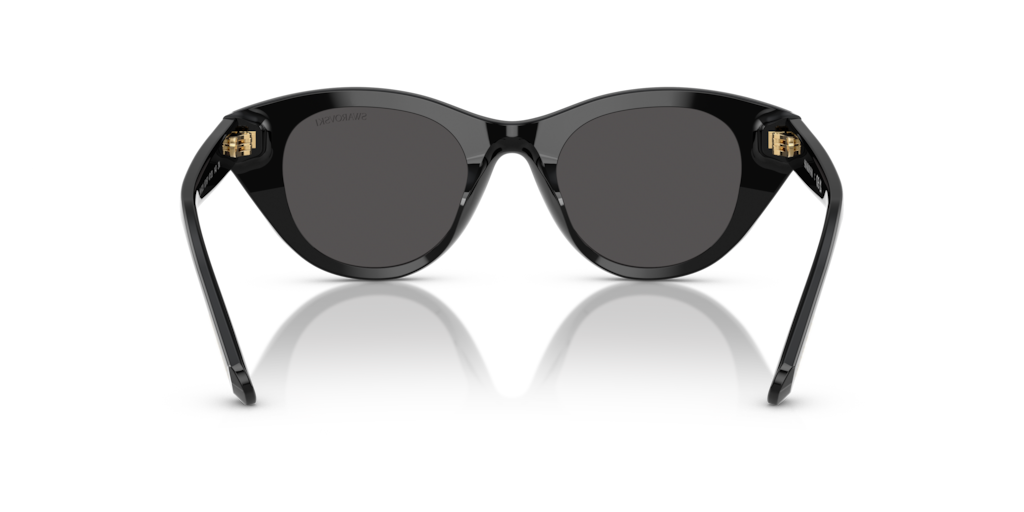 Swarovski SK6025 100187