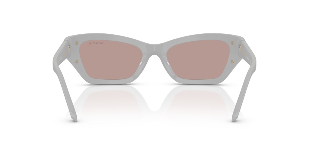 Swarovski SK6029 10317N
