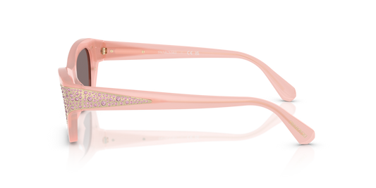 Swarovski SK6029 10317N