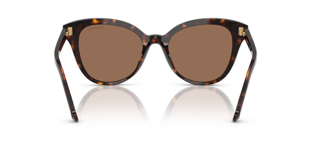Swarovski SK6031 100273