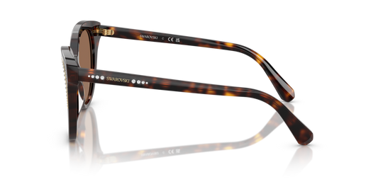 Swarovski SK6031 100273