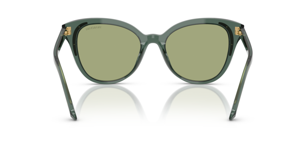 Swarovski SK6031 104382