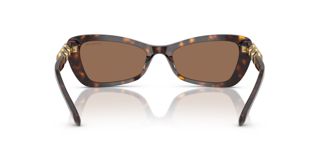 Swarovski SK6033 100273