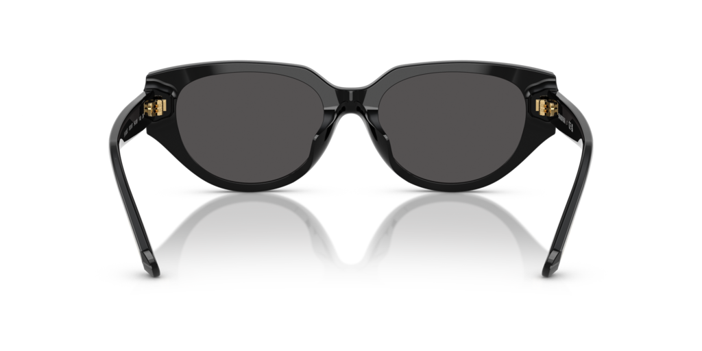 Swarovski SK6035D 100187