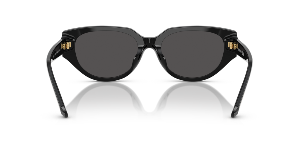 Swarovski SK6035D 100187