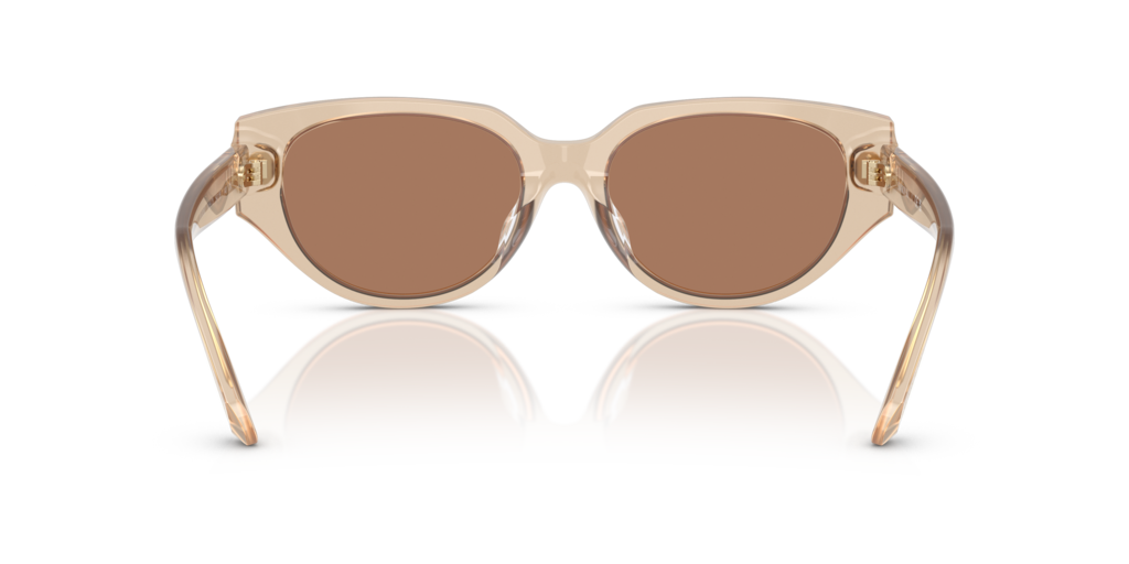 Swarovski SK6035D 106673