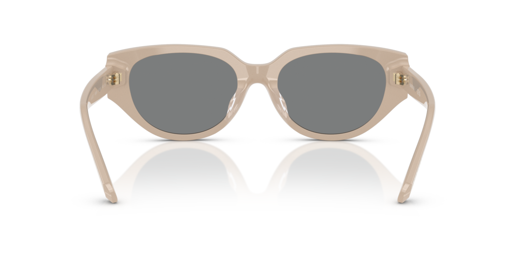 Swarovski SK6035D 106887