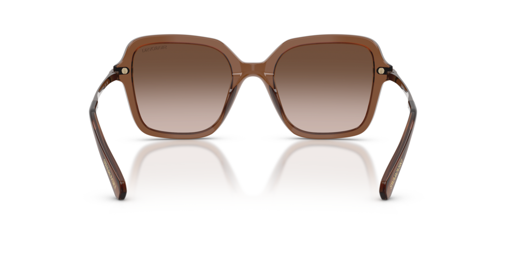Swarovski SK6040 106713